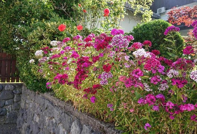 پانسیون Penzion Mimi