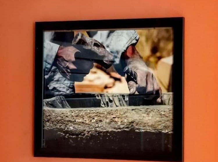 مبيت وإفطار La Bonita Guesthouse