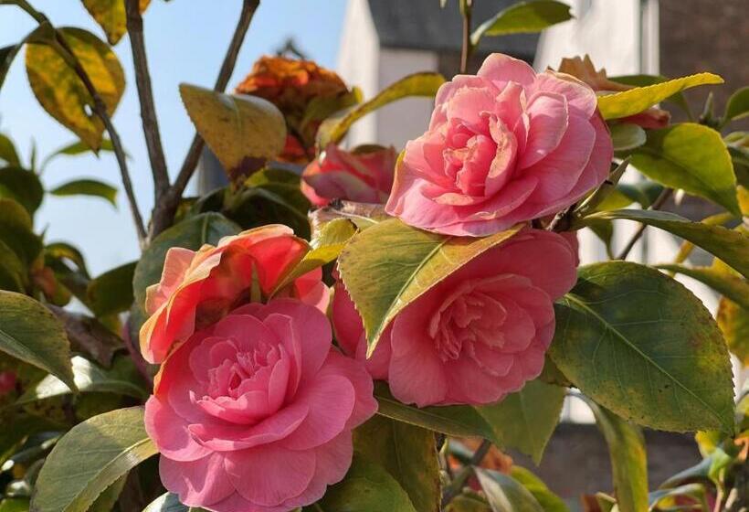 Bed and Breakfast St Chad S College