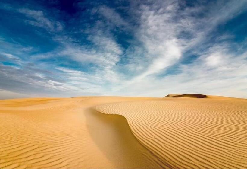 Experience Desert Resort