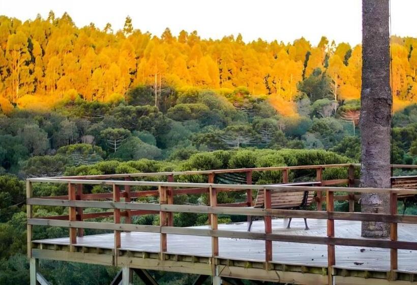 Отель Goldmen Select Guarapuava