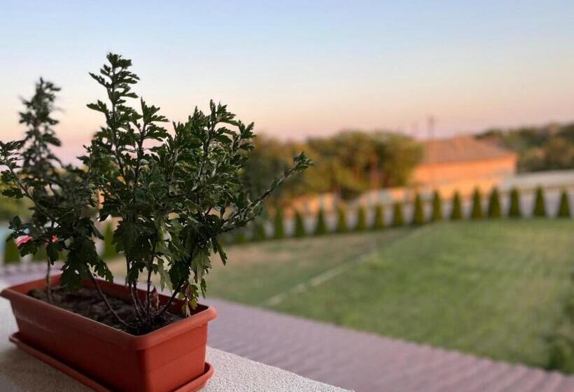 Отель Agropensiunea Cristian