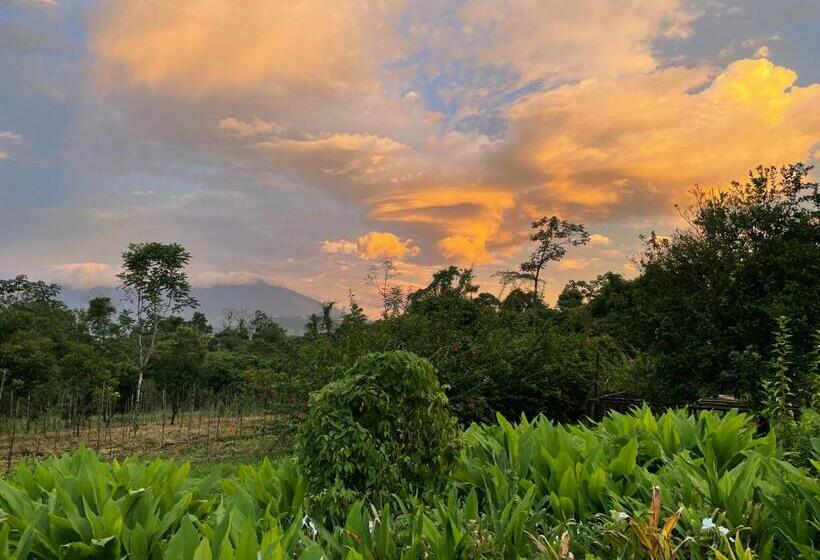 فندق Granja Integral Luz Del Corazon