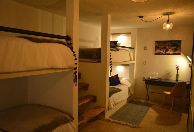 בית מלון כפרי Vinahel