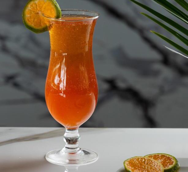 Malnad Shire Eco Resort