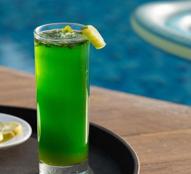 Malnad Shire Eco Resort