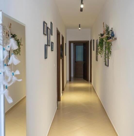 Oleva S Studios