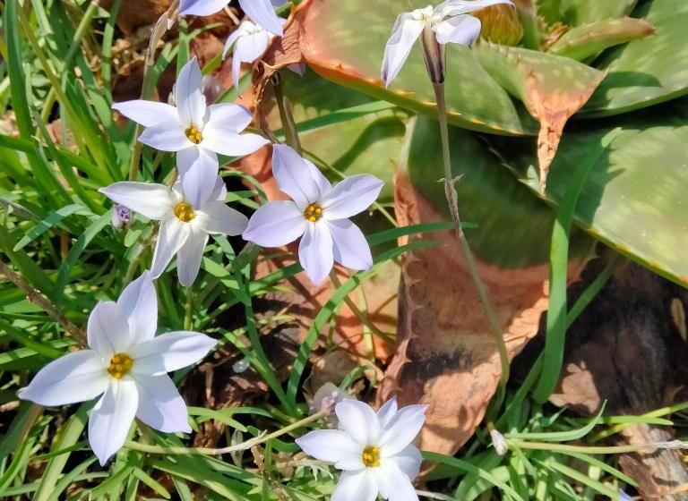 بنسيون Dutchess On Lake Guesthouse