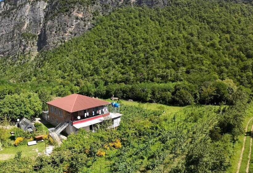 پانسیون Guest House Oasis   Tvishi