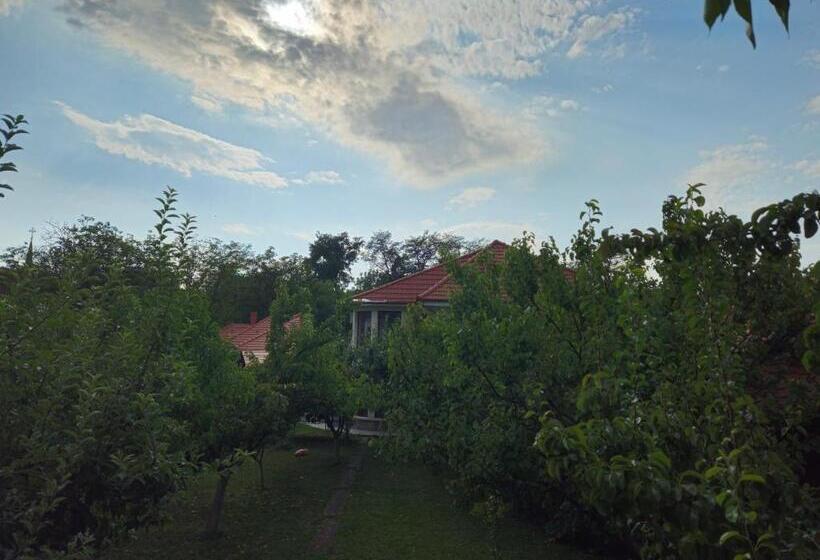 Pensiunea Sun Victor