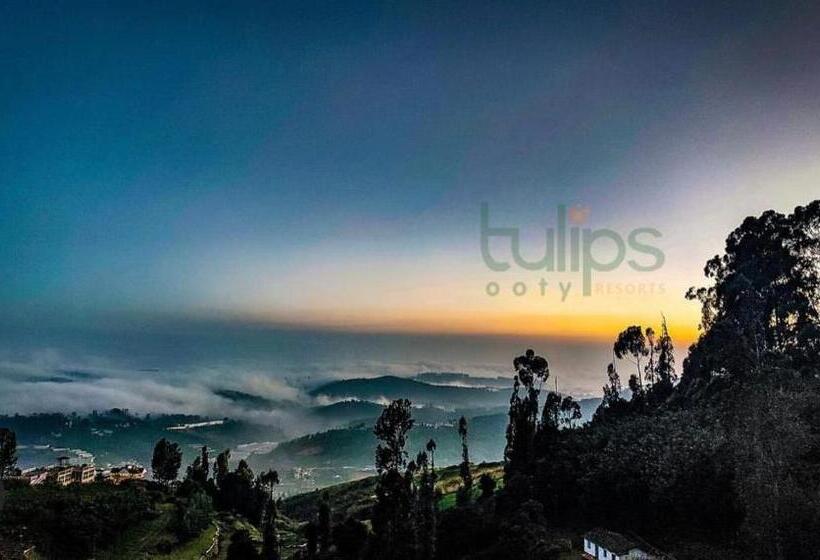 Tulips Village Resorts