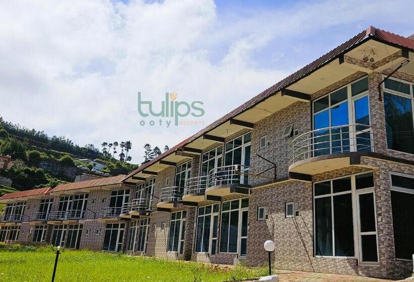 Tulips Village Resorts