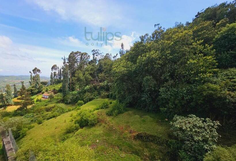 Tulips Village Resorts