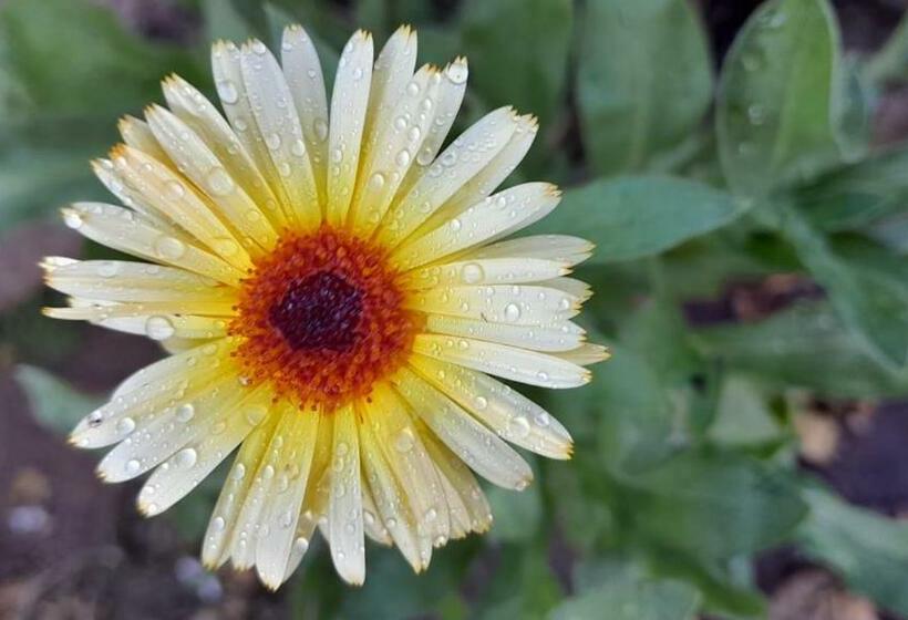 مبيت وإفطار Cosmic Moments Guest House