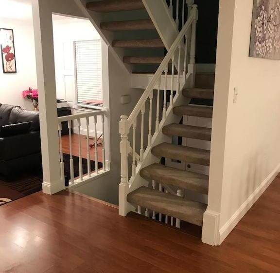 膳宿费 Room In House   The    Modern    Gem