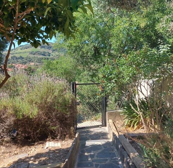 Пансион Sur Les Hauteurs De Collioure