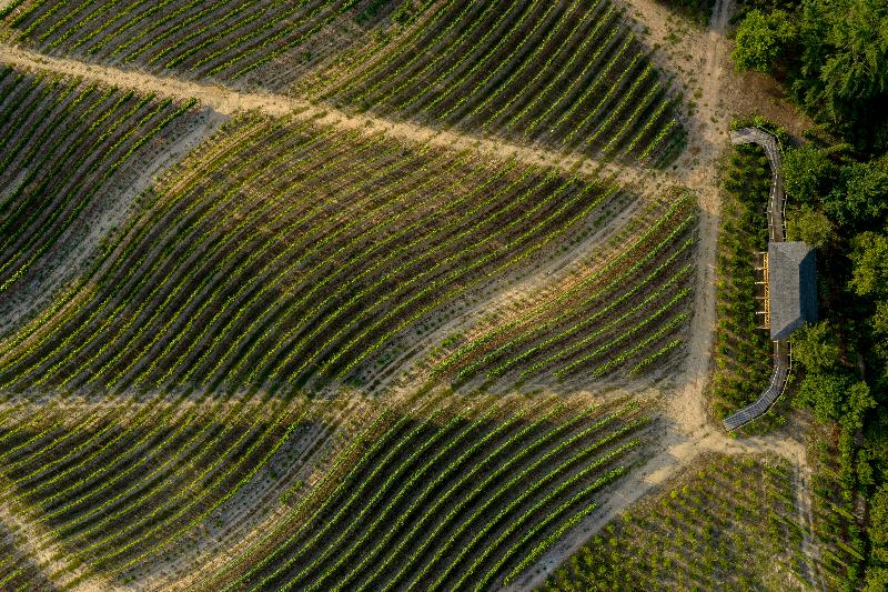 Valverde Santar Hotel & Spa Relais & Châteaux