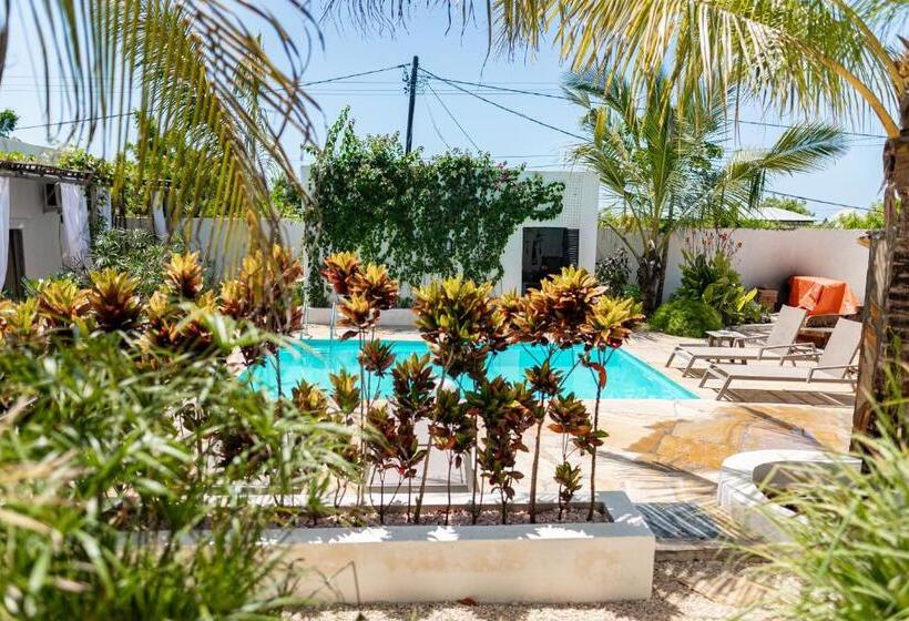 ユースホステル Cactus Lodge Zanzibar