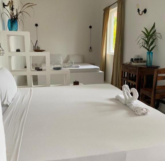 ユースホステル Cactus Lodge Zanzibar