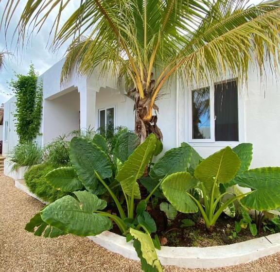 ユースホステル Cactus Lodge Zanzibar