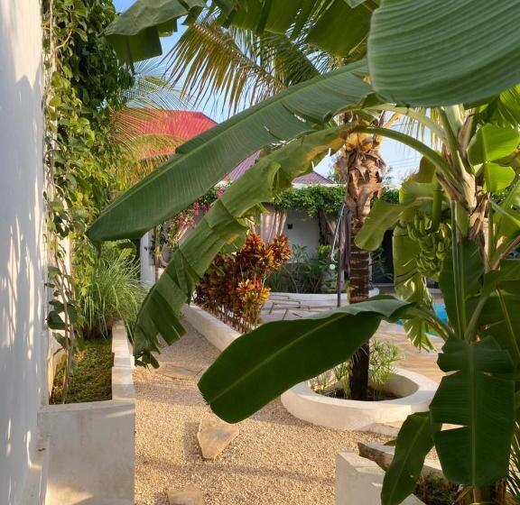 ユースホステル Cactus Lodge Zanzibar