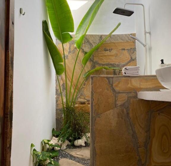 ユースホステル Cactus Lodge Zanzibar