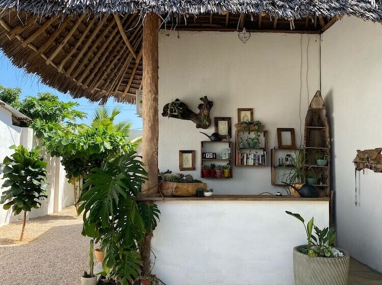 ユースホステル Cactus Lodge Zanzibar