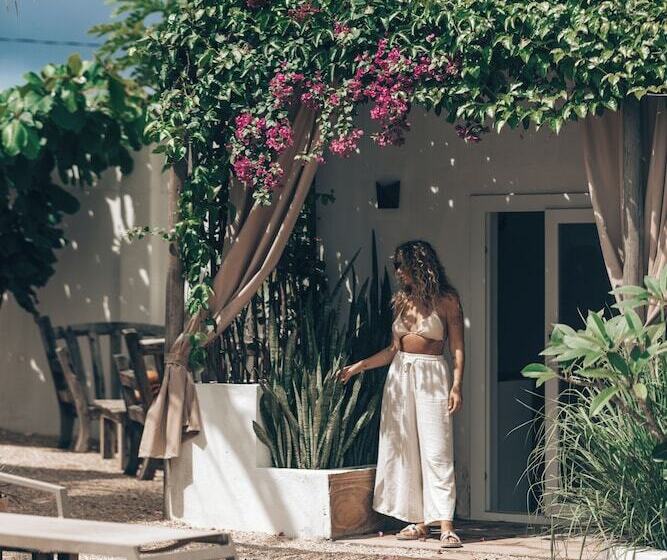 ユースホステル Cactus Lodge Zanzibar