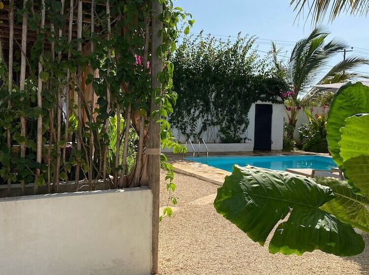 ユースホステル Cactus Lodge Zanzibar