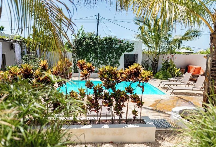 ユースホステル Cactus Lodge Zanzibar