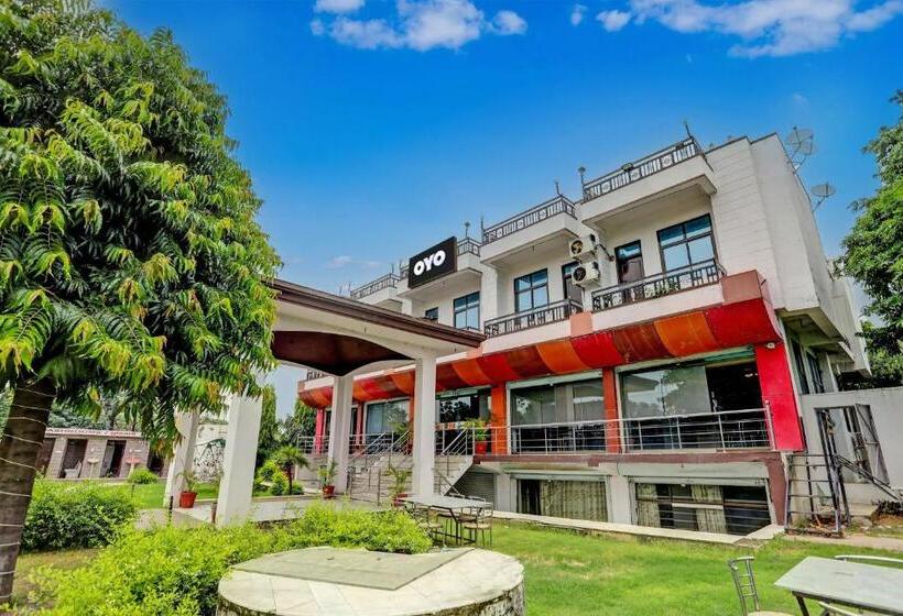 Collection O Hotel King Bird And Restaurants