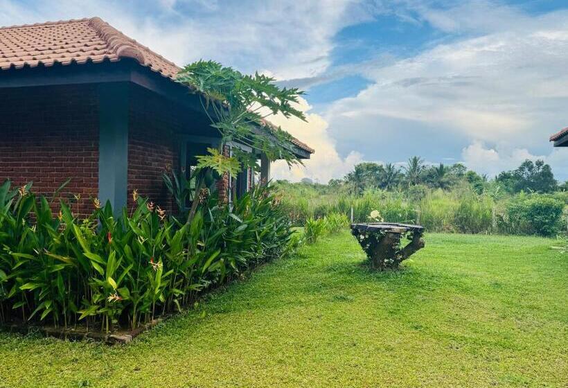 Foresta Resort Sigiriya