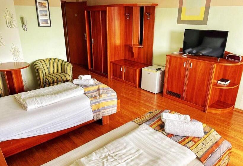 پانسیون Alkotmány Vendégház