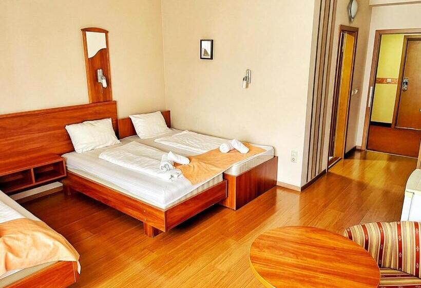 پانسیون Alkotmány Vendégház