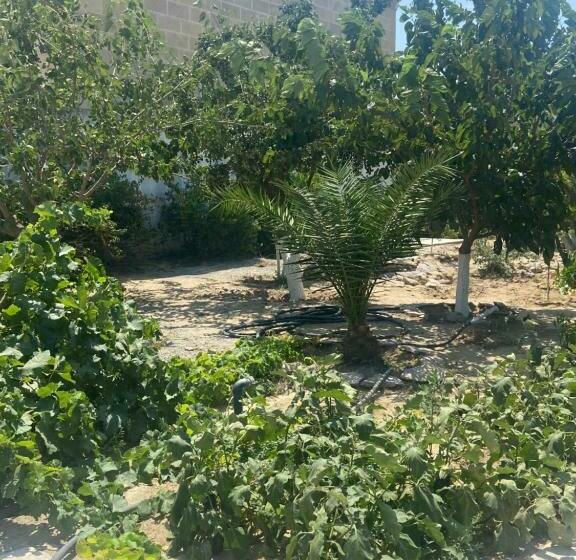 פנסיון Garden View Seaside Guesthouse With Airport Transfer