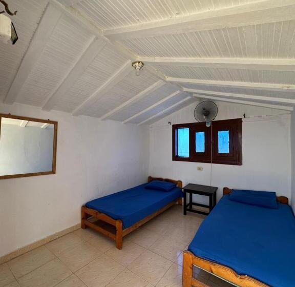 Seven Heaven Hotel And Diving Center