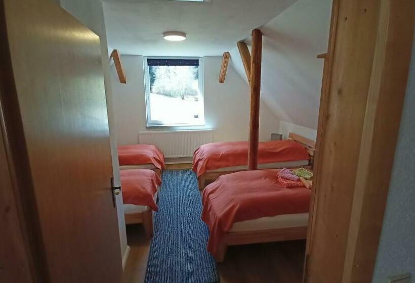 Общежитие Haus Waldschänke