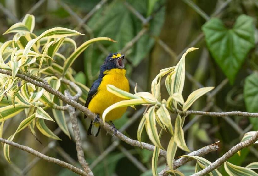 مبيت وإفطار Casa Tucan