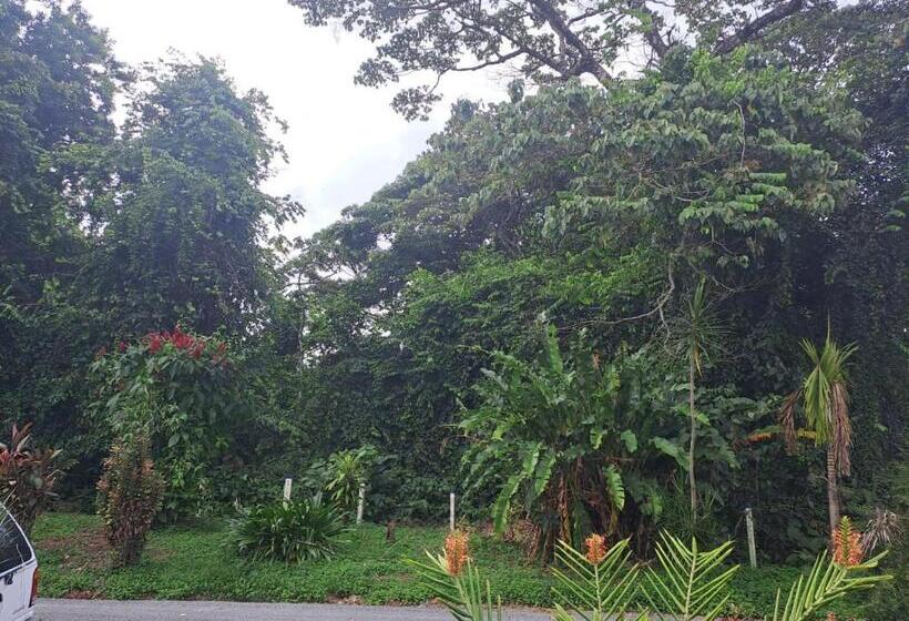 مبيت وإفطار Casa Tucan