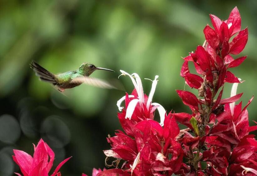 مبيت وإفطار Casa Tucan