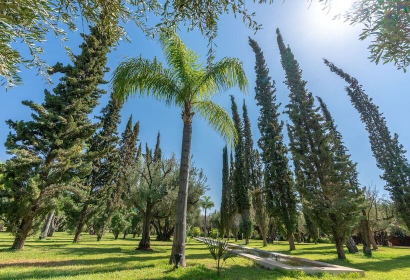 تختخواب و صبحانه Palais Hassoun Marrakech