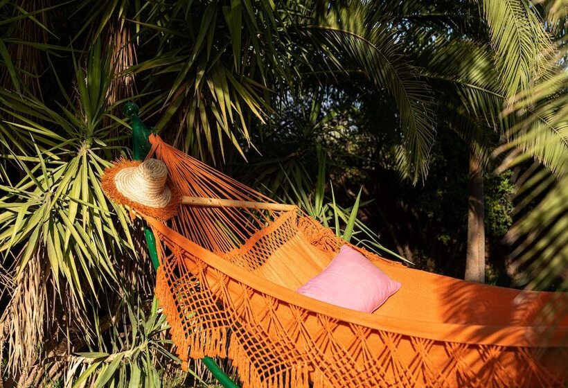 تختخواب و صبحانه Palais Hassoun Marrakech