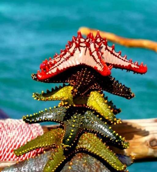 민박 Tumbo Swahili Villa