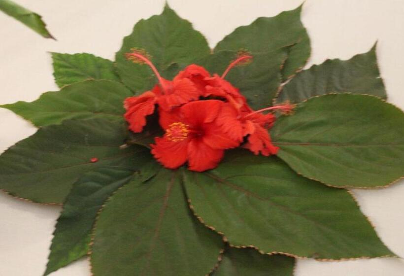 민박 Tumbo Swahili Villa