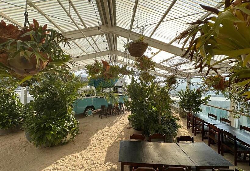 Ginos Dushi Secret For 8 People