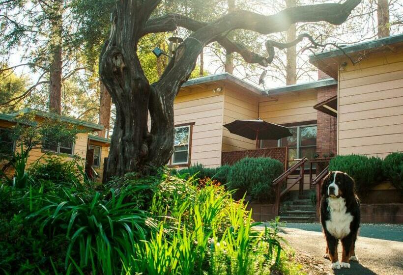 בית מלון כפרי Anderson Valley Inn