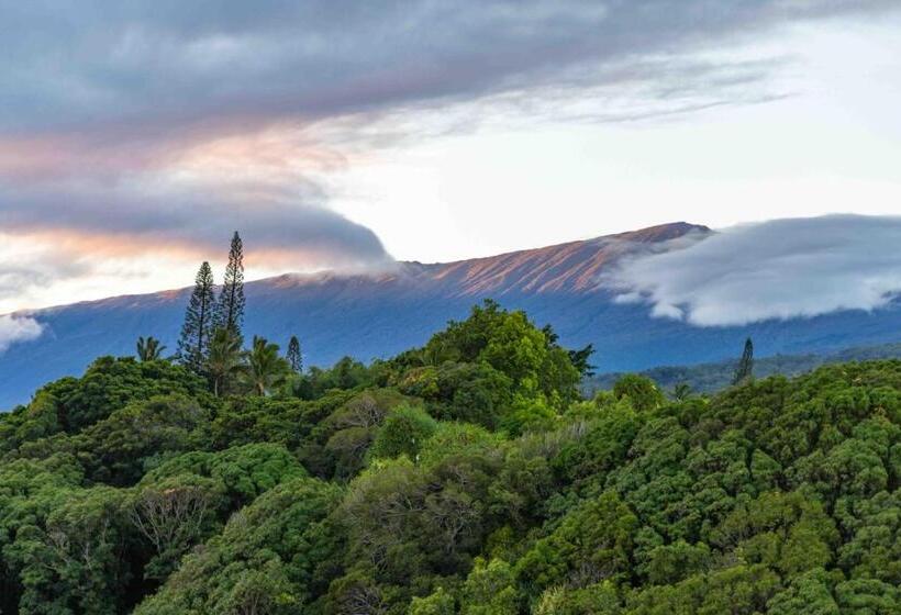 酒店 Gardenia Room On Tropical Lush Farm In Haiku, Maui