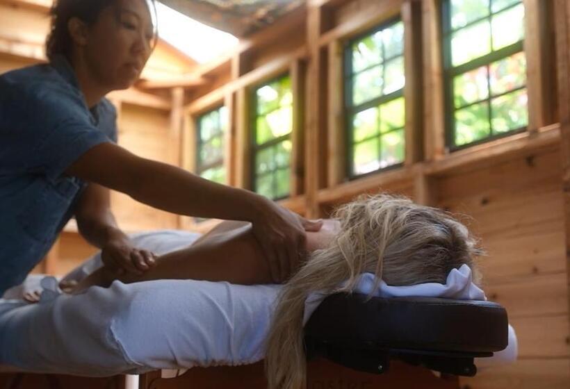 酒店 Gardenia Room On Tropical Lush Farm In Haiku, Maui