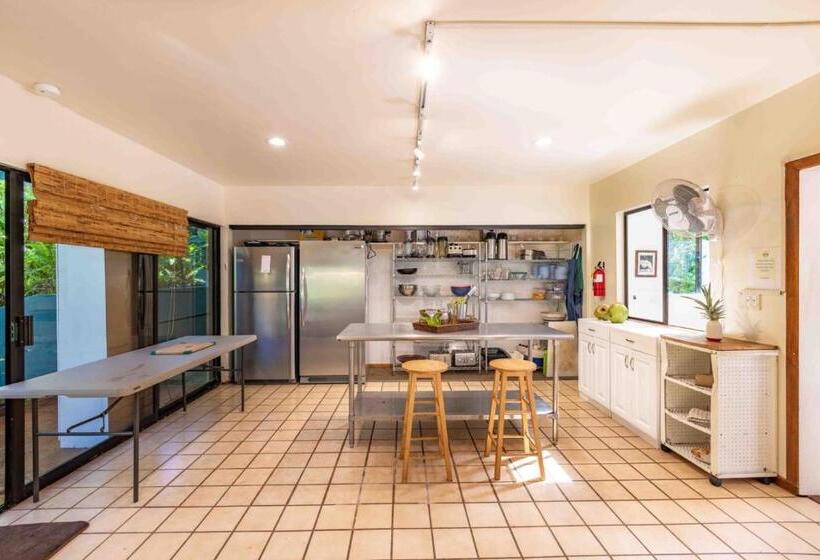 酒店 Gardenia Room On Tropical Lush Farm In Haiku, Maui