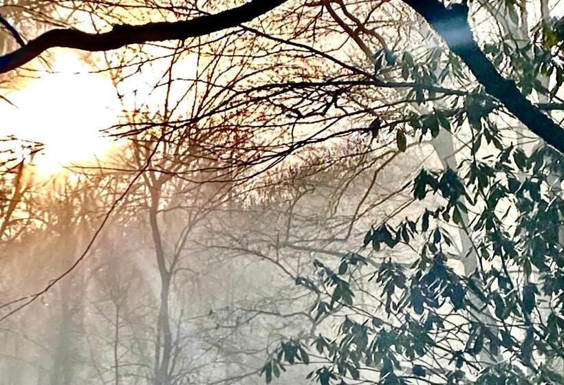 On Top Of The World At Sugar Top Resort